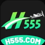 H555 Game