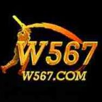 W567 Game